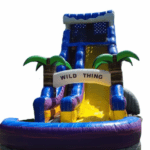 IMG_7889_1708395904_big