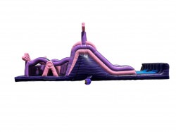 AC2B654D D082 4E8E 85B5 3FF4791B6D5F 1713041687 Pink Glitter, and Purple Obstacle Course