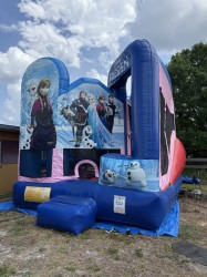 IMG 0167 1764294949 Frozen Combo